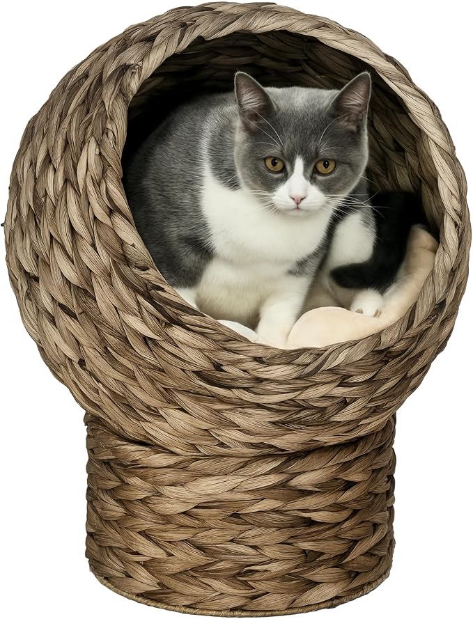 PawHut Handwoven Elevated Cat Bed for Indoor Cats 20" H Gray | Soft Cushion & Egg Chair Shape, Basket Bed Kitty House with Stand, Raised Wicker House