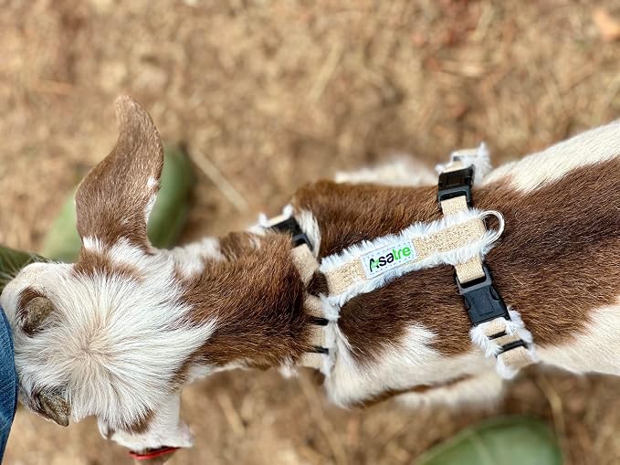 Goat Harness, Asatre Adjustable Lined Hemp Goat or Sheep, Small to X-Large,Livestock Halter, Durable Multi-Clasp, Eco-Friendly Livestock Gear, Comfortable Farm Pet (Small)