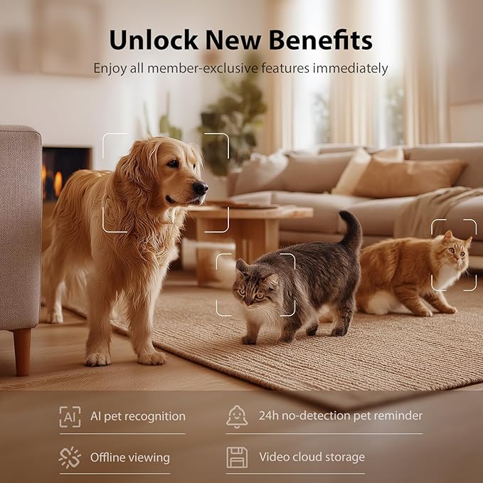 IMIPAW Automatic Cat Feeder with Camera - AI Pet Recognition & Recording, Night Vision, 5G WiFi APP Remote Control, Two-Way Audio & Desiccant Bag, Timed Programmable Food Dispenser for Small Pets