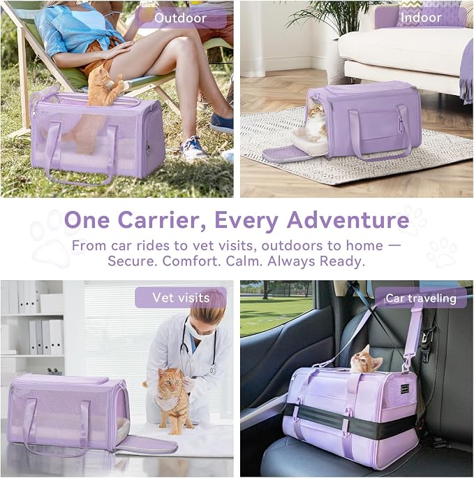 PETSFIT Large Cat Carrier with Patented Safety Buckles,Big Cats Up to 20 lb | Secure Carrier for Safe Driving, Lockable Zippers, Safety Tether, Travel Pet Carrier for Trips & Vet Visits, 19 x 12 x 12