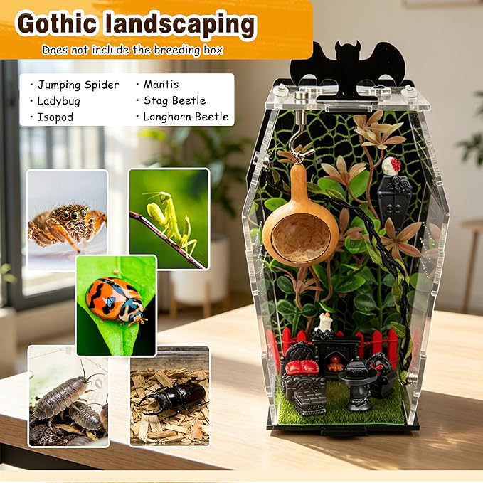 19-in-1 Jumping Spider Enclosure Accessories Kit, Terrarium Decor Set with Furniture, Plants, Hideouts, Moss, Climbing Rope & Net for Tarantula Habitat (No Glue/Enclosure)