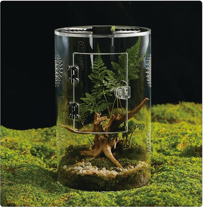 Acrylic Terrarium for Reptiles & Spiders – Small/Medium/Large Leak-Proof Enclosure (Horizontal/Vertical) | Ideal for Tarantulas, Jumping Spiders, Frogs & Geckos(Medium, Round)