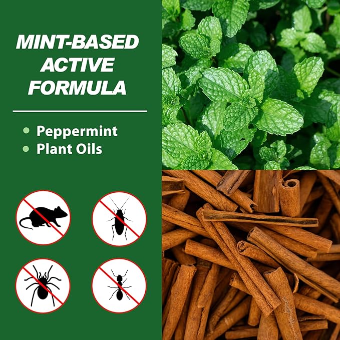 Natural Mouse Repellent. Peppermint Oil Rodent Deterrent Balls for Mice, Rats, Squirrels & Spiders, Natural Plant-Based (24)