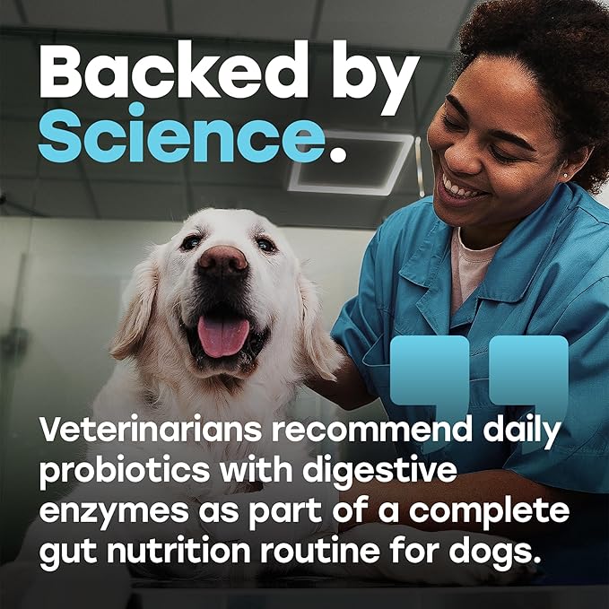 Probiotics for Dogs – 1 Billion CFU 6-Strain Probiotic Chews with Pumpkin, Papaya, Turmeric – Digestive Health, Gut Health, Itchy Skin and Allergy Support for All Breeds, Beef Flavor