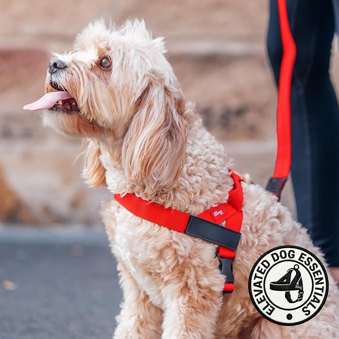 Dog Friendly Co. Dog Harness for Large Dogs, Adjustable (Red, Large) | One Click Buckle, Chafe Resistant Webbing, Adjustable Neck & Chest, and Heavy Duty D-Ring, Sturdy Comfortable and Easy to Use