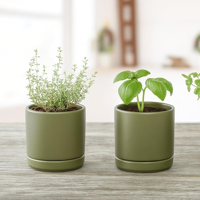 D'vine Dev 3.5 Inch Ceramic Planter Pot, Olive, 94-O-A-J | Modern Cylinder Design, Drainage Hole & Saucer Included, Stable Structure, Elegant Home Accent