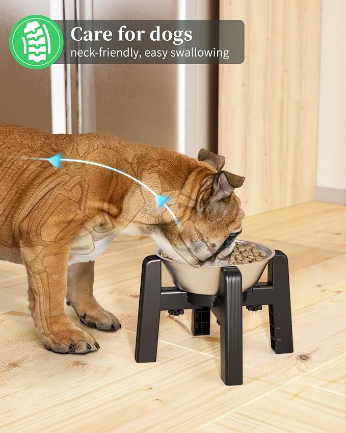 Dog Bowl Stand, 51 oz Large Capacity Stainless Steel Feeder (2 Pack) | Elevated Pet Water & Food Bowl for Medium Dogs, Stable and Anti-Slip Raised Bowl