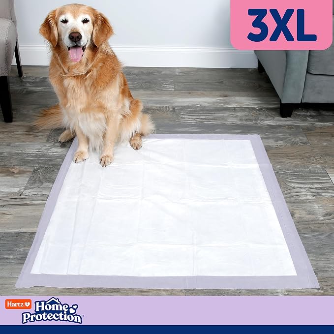 Hartz Home Protection Lavender Scented Dog Pads, 3XL 30 Count, Super Absorbent & Won't Leak, Odor Eliminating (Pack of 2)