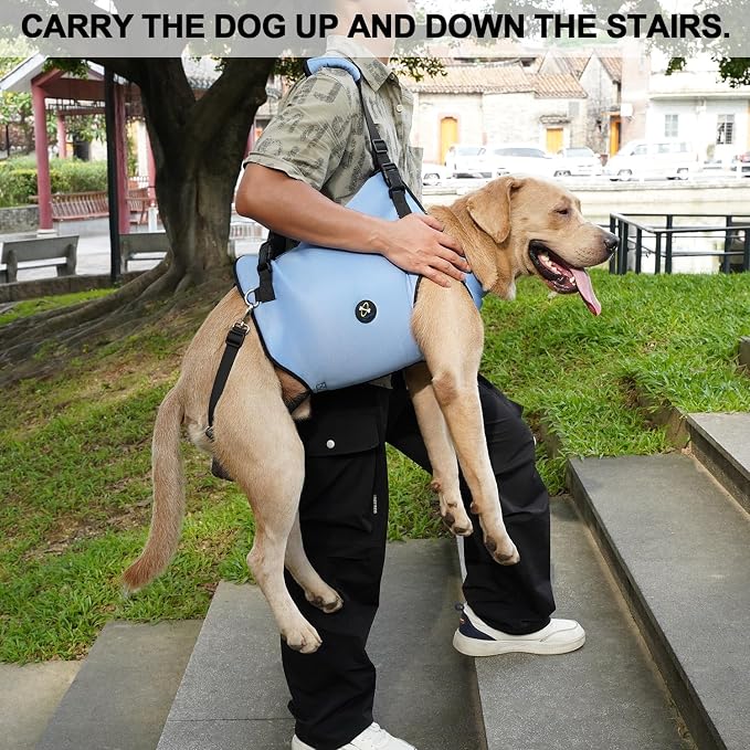 Coodeo Dog Lift Harness, Pet Support & Rehabilitation Sling Lift Adjustable Padded Breathable Straps for Old, Disabled, Joint Injuries, Arthritis, Loss of Stability Dogs Walk (Blue, S)