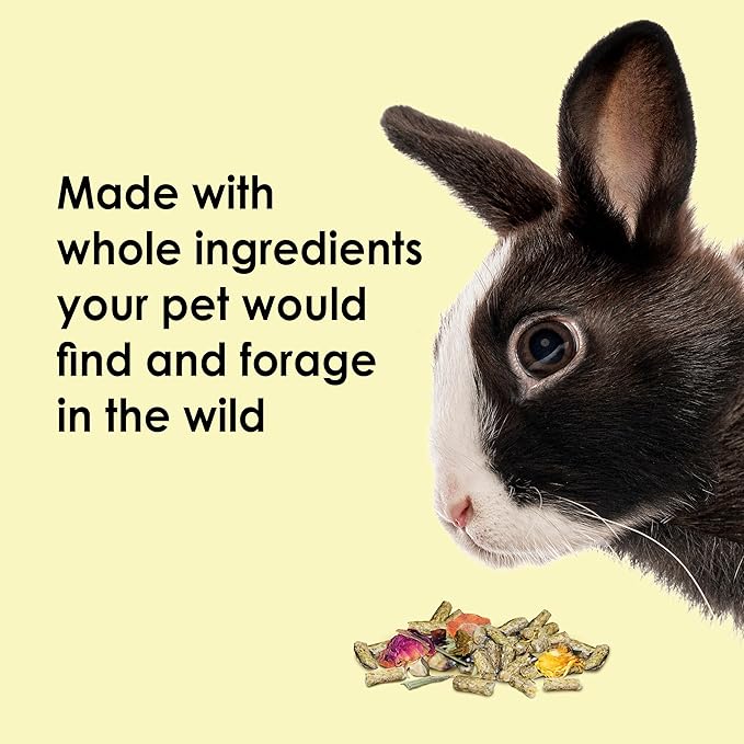 Kaytee Food from The Wild Natural Pet Rabbit Food, 4 Pound