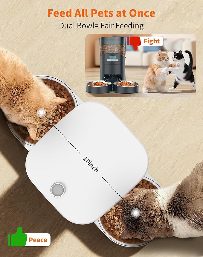 HoneyGuaridan Automatic Cat Feeder for 2 Cats,Automatic Cat Food Dispenser,Timed Pet Feeder for Cats and Dogs,Desiccant Bag, Programmable Portion Control,10s Voice Recorder