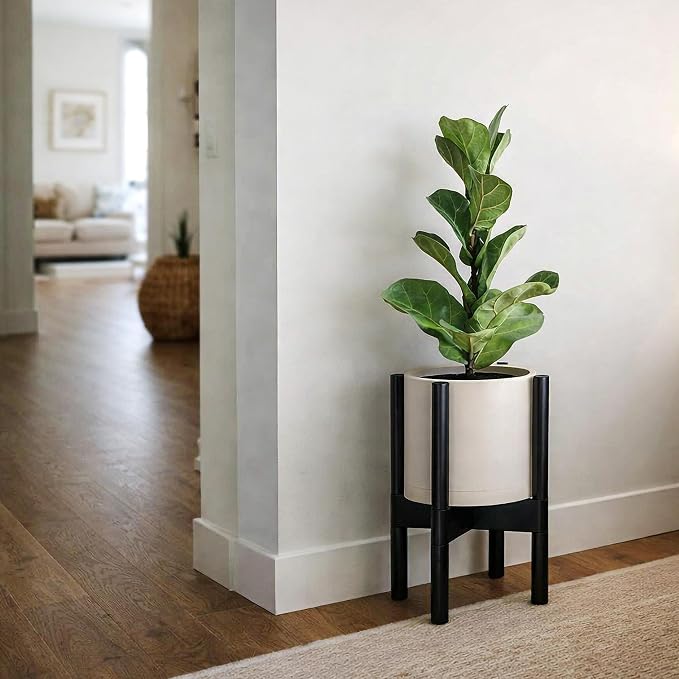 D'vine Dev Plastic Pot with Ebony Wood Stand, Oatmeal, 8 in, 55-C-K-4 | Mid-Century Inspired Design, Elevated Plant Display, Clean Lines, Sturdy Support, Modern Space-Saving Style