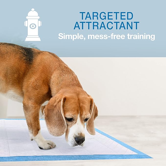 Four Paws Wee-Wee Superior Performance Dog Pee Pads, 150 Count | Quilted leak-proof puppy pads, dog housebreaking & potty training, 24-hour floor protection, pet supplies, 22" x 23"