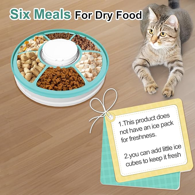 Automatic Cat Feeder for Dry Food,Supplement & Treats， 6 Compartment Timed Cat Food Dispenser for Cats and Small Dogs，No Ice Needed Automatic Dog Feeder (Green)