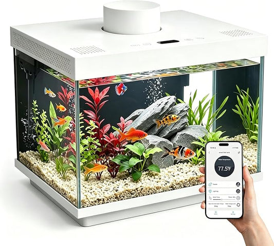 Smart Fish Tank, 2 Gallon Glass Aquarium Starter Kit with App Control, Auto Feeder, Temperature Display, RGB Color Light 3-in-1 Quiet Pump with Filter for Home, Office Corner