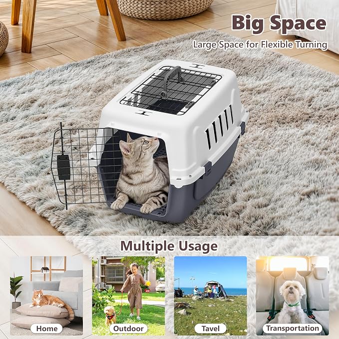 Athena Collection 22" Hard-Sided Travel Pet Carrier for Small Dogs and Cats | Plastic Dog Crate with 2-Door Top & Front Load, Ventilation, Security Lock, Cat Dog Carrier for Pet, up to 22lbs, Grey
