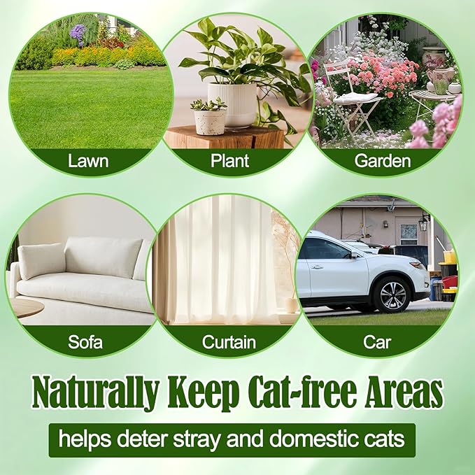 Cat Deterrent Outdoor & Indoor, 10 Pack Natural Peppermint Oil Cat Deterrent Balls to Keep Cats Out of Yard Permanently, Anti Cat Scratching & Chewing Furniture & Peeing from Lawn, Yard, Garden