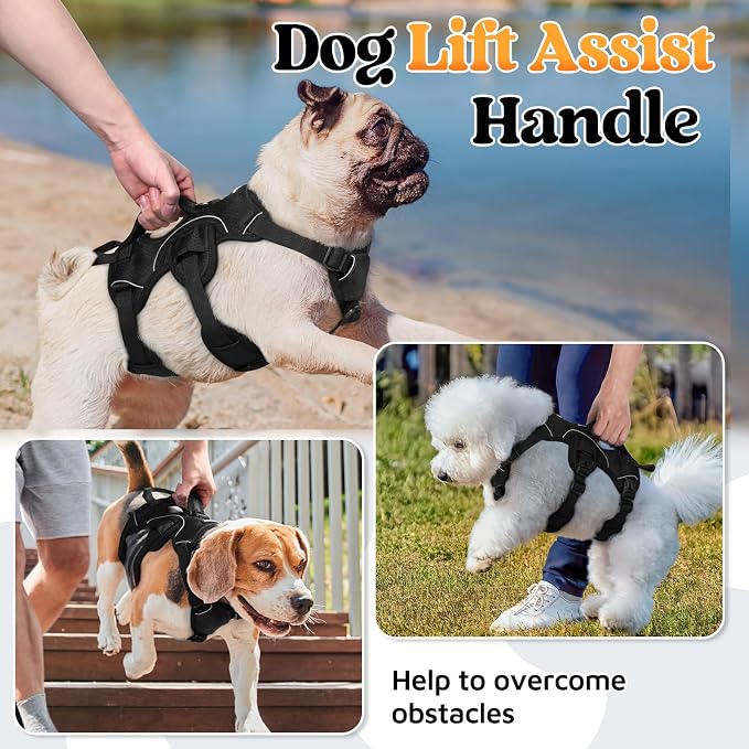 rabbitgoo Escape Proof Dog Harness for Small, No Pull with Lift Handle | No Escape, Full Soft Padded, Reflective Adjustable Vest, Leash Clip for Walking Hiking Training, Black, Small
