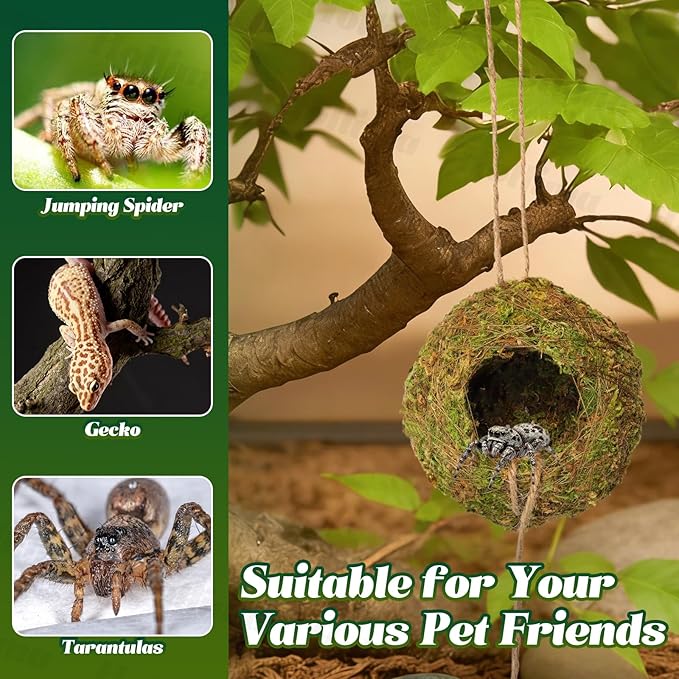 Jumping Spider Moss Cave Hide, Round Yellow Small Spider Moss Hideout, Jumping Spiders Cave Accessory for Reptile Terrarium