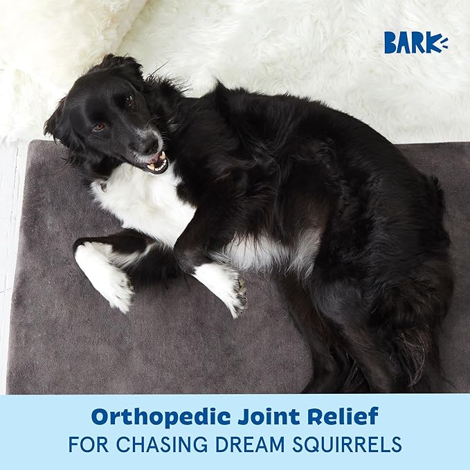 BarkBox Orthopedic Dog Bed - Large | with Memory Foam - Comfortable, Durable & Machine Washable Pet Bed - Grey