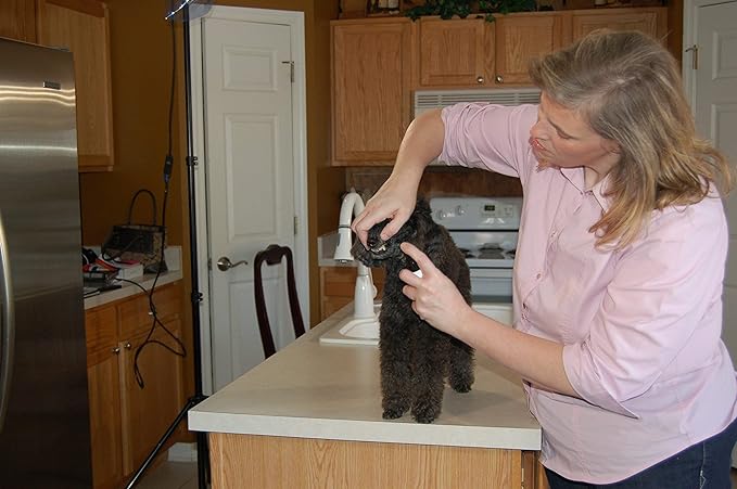 Pet Dental Spray