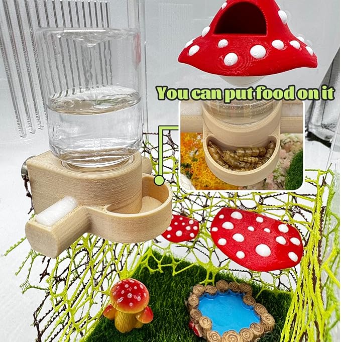 Jumping Spider Accessories, Jumping Spider Water Dispenser, Magnetic Hanging Feeder with Tweezers for Jumping Spiders, Tarantulas, Praying, Mantises (Beige)