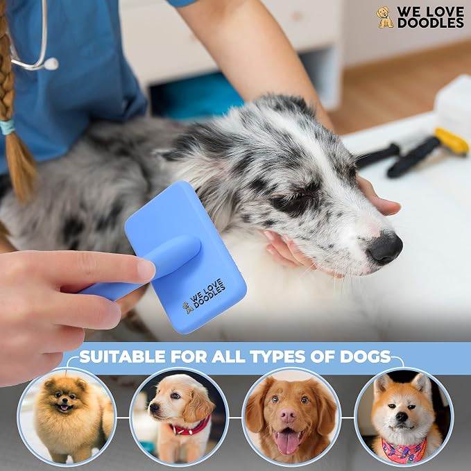 Slicker Brush for Dogs, Pet Grooming Brushes for Doodles & Poodles, Small | Best Brush For Long Haired Dogs, Dematting Comb & Deshedding Tools For Goldendoodle Coats, Puppy Matting Grooming Supplies