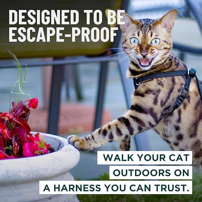 Houdini™ Escape Proof Cat Harness and Leash (Multicolor, XL) | Adjustable walking vest with 6ft lead, premium padded finish, snug secure fit, lightweight for travel and outdoor adventures