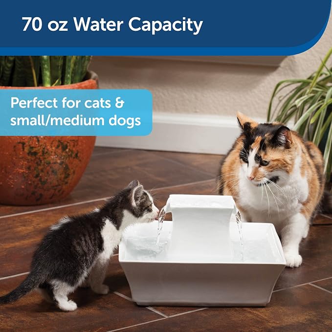 PetSafe Drinkwell Pagoda Fountain - 70 oz Ceramic, White - Filters Incl. | 2 Free-Falling Water Streams Encourage Hydration, Open Bowl Design, Replaceable Carbon & Foam Filters