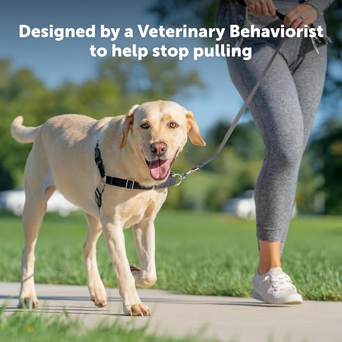 PetSafe Easy Walk Harness, No Pull Dog Harness, Black, Petite/Small | Patented Martingale Loop Gives Gradual Shoulder Pressure to Stop Pulling, Front-Chest Leash Clip Prevents Gagging