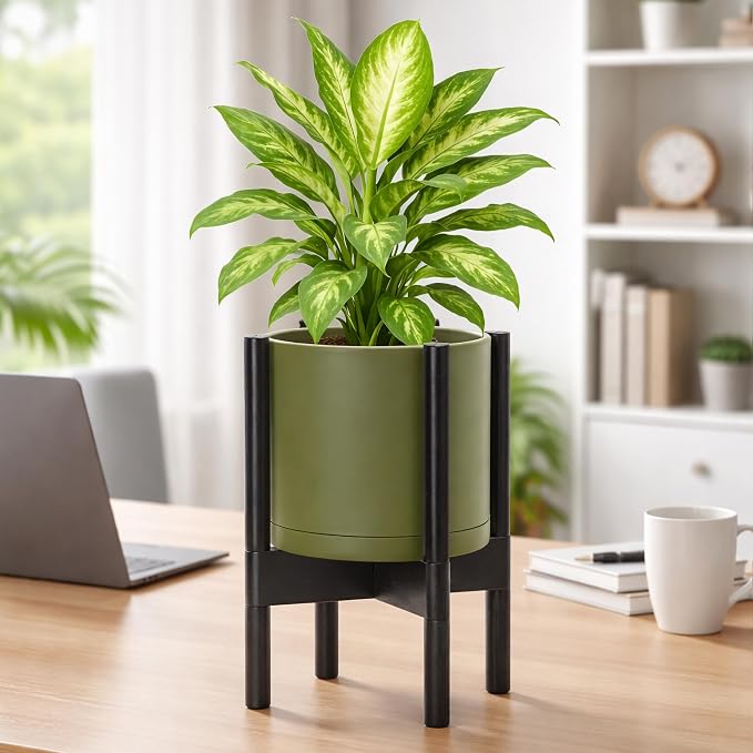 D'vine Dev Plastic Pot with Ebony Wood Stand, Olive, 8 in, 55-C-K-3 | Mid-Century Inspired Design, Elevated Plant Display, Clean Lines, Sturdy Support, Modern Space-Saving Style