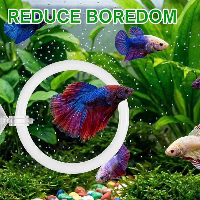 3Pcs Betta Fish Exercise Ring and Mirror Set 1 Mirror with Floating Ball 2 Exercise Training Rings Toy Betta Ring Enrichment Toys Floating Mirrors Balls Resting Spot Fishing Tank Accessories for Fish