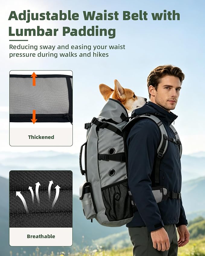 Breathable Dog Hiking Backpack Carrier for Medium Dogs, Grey | 4-Layer Protection, Adjustable Dog Backpack with Storage Pockets, Reflective Strips, 3D Ergonomic Support, Under 33 lb