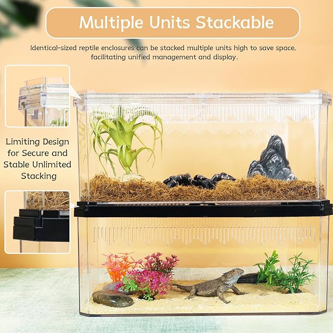 High-Transparency Reptile & Insect Enclosure Terrarium with Magnetic Door, Excellent Ventilation, Easy Cleaning, and Strong, Long-Lasting Build for Frog,Insect House Gecko, Hermit Crab White, 12Inch