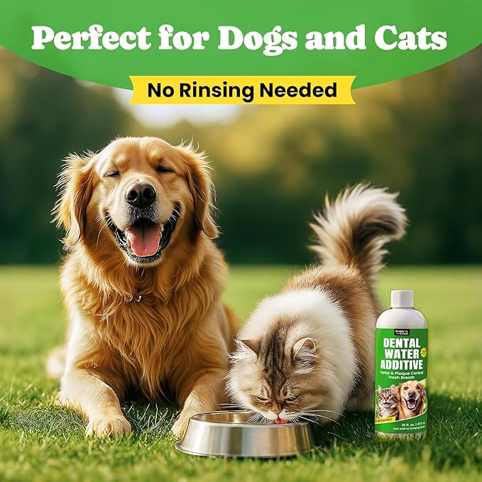 Dog Breath Freshener – Enzymatic Dog Dental Water Additive for Teeth Claning – Freshens Breath & Reduces Tartar – Easy Mouthwash Cleaner for Teeth & Gums – No Brushing Needed, Uncented, 16oz