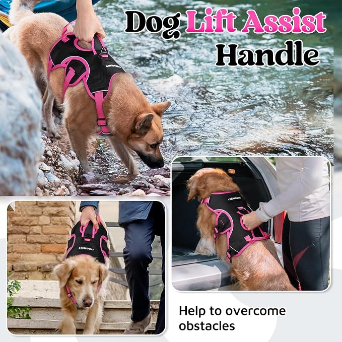 rabbitgoo Escape Proof Dog Harness for X-Large, No Pull with Lift Handle | No Escape, Full Soft Padded, Reflective Adjustable Vest, Leash Clip for Walking Hiking Training, Rose & Black, X-Large