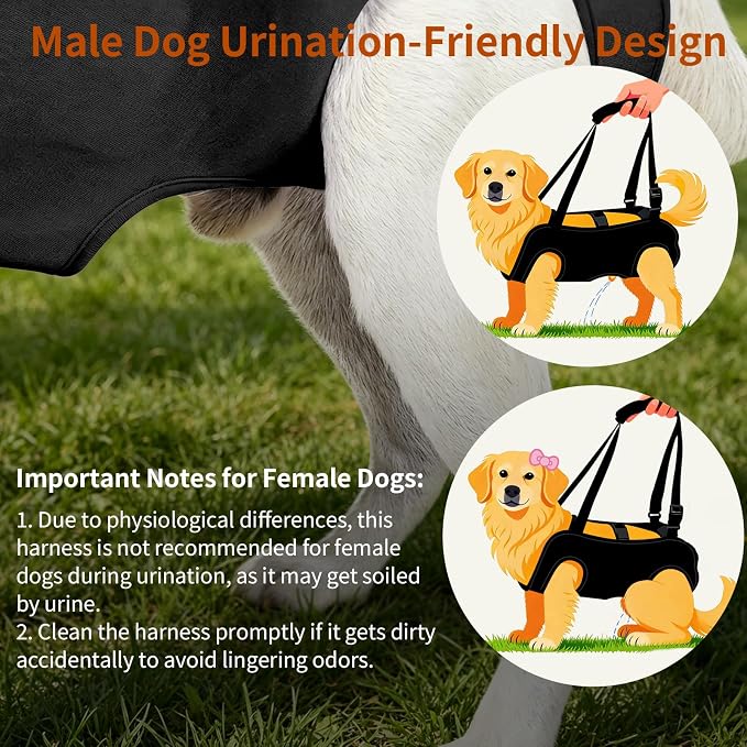 Full Body Dog Lift Harness, Support Senior & Disabled Dogs Walking | Help Up & Down Stairs Grooming, Dog Sling Backpack, Front Hind Leg Joint Injuries, Reflective, Soft Padded Handle | Black, M