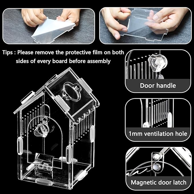 House-Shaped Acrylic Insect Terrarium & Reptile Habitat Kit - Multi-Purpose Bug Enclosure for Jumping Spiders, Praying Mantises & Frogs - Clear Acrylic Insect Cage with Ventilation, Easy Maintenance