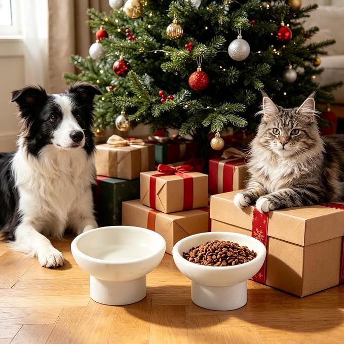 Karibiber Marble Elevated Cat Bowl, White Weighted Raised Cat Food & Water Bowl, Whisker-Friendly Stone Cat Dish with Non-Slip Stand, Heavy Water Bowls for Small Dog