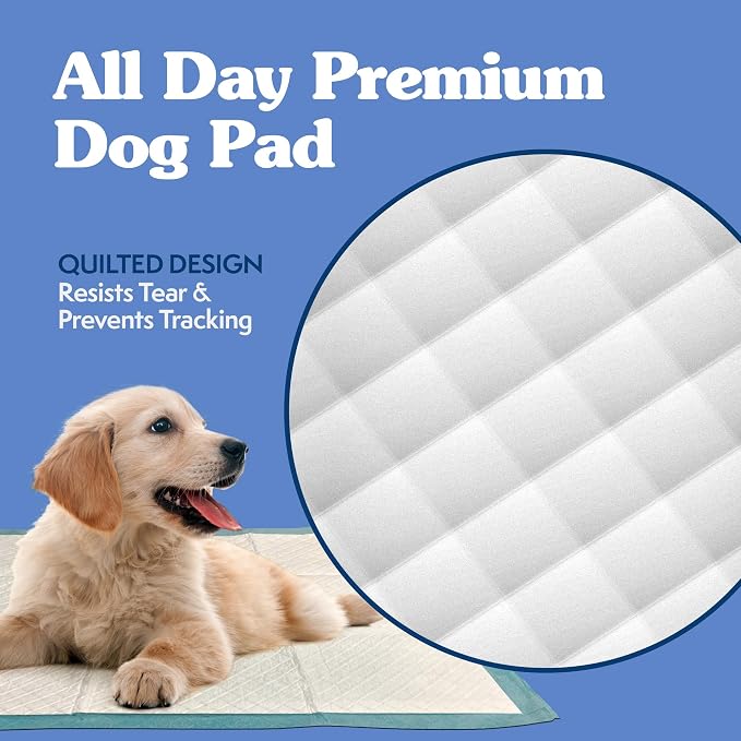 Simple Solution XL Potty Training Pads, Leak Proof Pads, 28"x30" 100 Count | Dog Training Pads, Puppy Potty Training, Housebreaking, Disposable Pee Pads, Floor Protection, Indoor Potty, Puppy Essentials