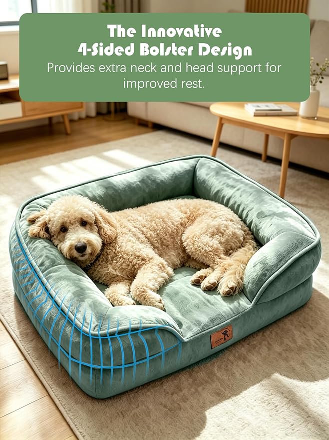 Spotted Play Orthopedic Dog Bed with Sides - Sofa Beds for Large Dogs, Supportive Foam Pet Couch Bed with Washable Removable Cover, Waterproof Lining and Non-Slip Bottom, Green - L-Plus