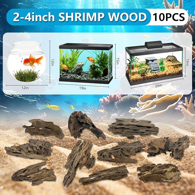 10 PCS Natural Honeycomb Wood 2-4", Porous Aquarium Driftwood, Cholla Wood Shrimp Shelter Breeding Cave, Shrimp Dragon Wood for Fish Tank, Aquascaping, Reptile, Terrarium Decor