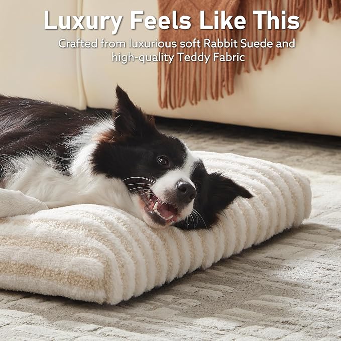 FURTIME Washable Small Dog Bed, Deluxe Dog Crate Beds | Comfy Fluffy Kennel Pad Anti-Slip Pet Sleeping Mat for Puppy/Cat, Machine Washable Dogs Pillow, 23"x18"x3", White