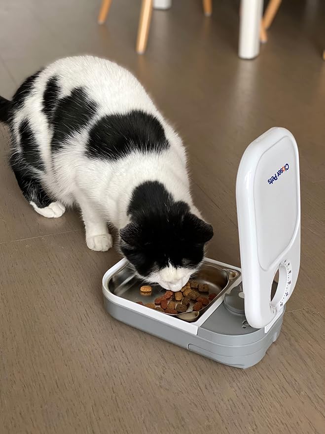 Closer Pets C100 One Meal Automatic Pet Feeder for Cats and Small Dogs with Stainless Steel Bowl Insert
