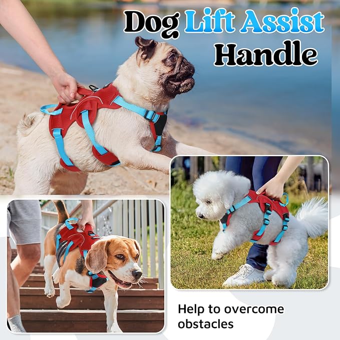 rabbitgoo Escape Proof Dog Harness for Small, No Pull with Lift Handle | No Escape, Full Soft Padded, Reflective Adjustable Vest, Leash Clip for Walking Hiking Training, Sky Blue & Red, Small