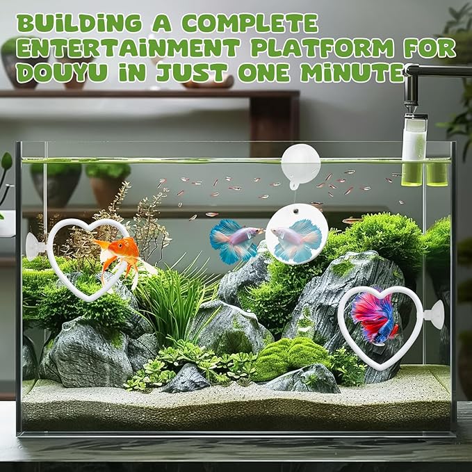2 Pcs Betta Fish Exercise Love Ring & Betta Mirror, Betta Enrichment Toys, Betta Fish Tank Accessories, Betta Fish Toysfor Training, Play