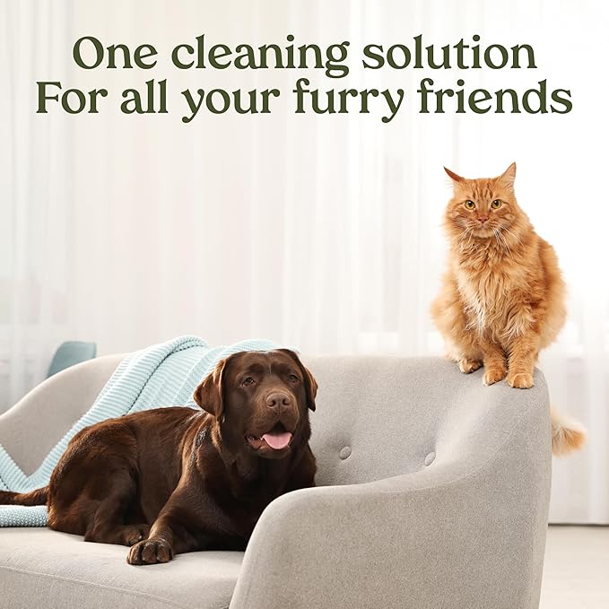 PAWFUME Stain & Pet Urine Odor Eliminator, 2-Pack | Enzymatic quick-dry formula with eco-friendly ingredients for upholstery, fabrics and Carpet Cleaner Spray use