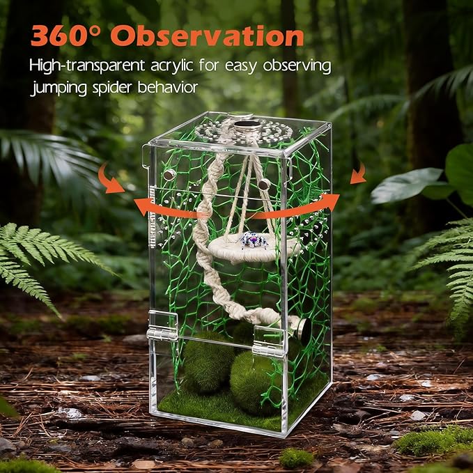 AZV Jumping Spider Enclosure Escape Proof Praying Mantis Habitat Arboreal Tarantula Terrarium with Magnetic Opening Door Baby Spider House Fully Transparent Acrylic Reptile Tank Insect Cage Bug Cribs