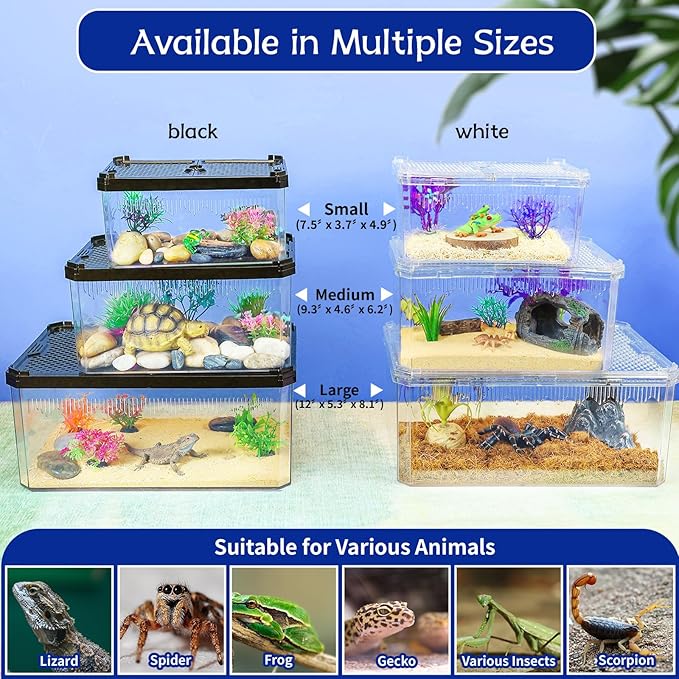 High-Transparency Reptile & Insect Enclosure Terrarium with Magnetic Door, Excellent Ventilation, Easy Cleaning, and Strong, Long-Lasting Build for Cricket,Frog,Insect House Gecko, Black,9.3 in