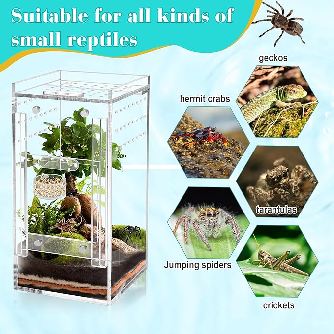 2+2 PCS Jumping Spider Magnetic Feeding Dish with Dropper & Tweezer, Magnetic Water Bowl, Reptile Feeding Tongs, Tiny Food Dishes Water Dish for Jumping Spider, Tarantula&Other Small Pets-Coldairsoap
